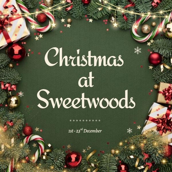 Christmas at Sweetwoods